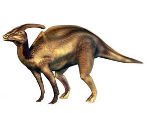 Parasaurolophus