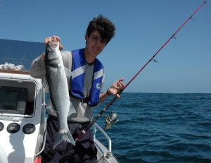 La pêche du bar au leurre souple