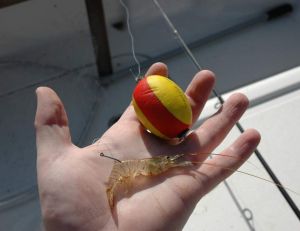 La pêche au bouquet ne se pratique pas au hasard