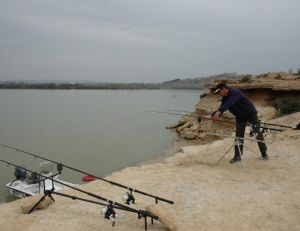 Il n’existe pas de fermeture de la pêche pour la carpe