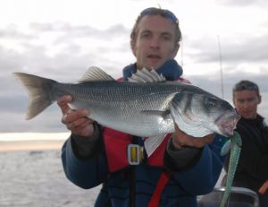 Pêcher le bar pendant l'été