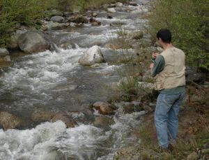 Où pêcher la truite