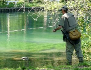 Les permis de pêche
