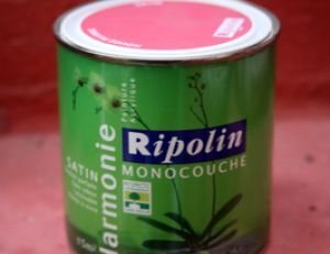 Peinture écologique