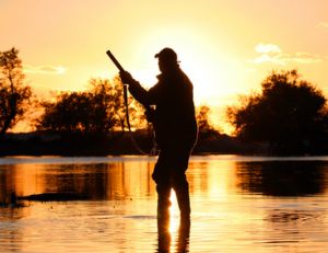 Quel est le coût du permis de chasse temporaire ?