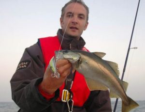 Au poisson nageur, on capture surtout des petits lieus