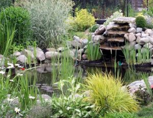 Petits bassins de jardin : comment les installer