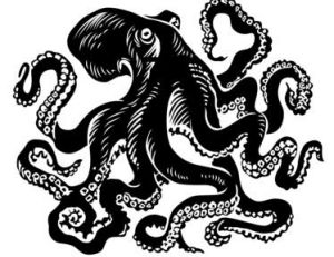 Haliphron atlanticus ?