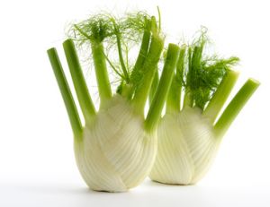 Cultiver du fenouil