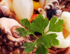 La pieuvre dans nos assiettes