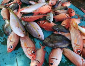 Devenir poissonnier