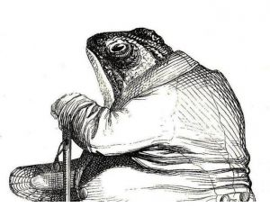 Le crapaud et les Hommes