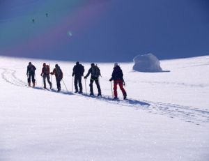 Avalanche : comment réagir face à une avalanche
