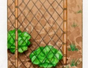 Protection contre les campagnoles, les mulots et les lapins