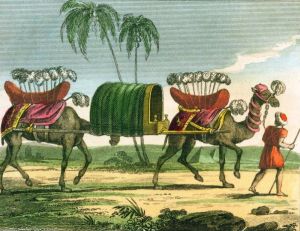 Le chameau et les hommes