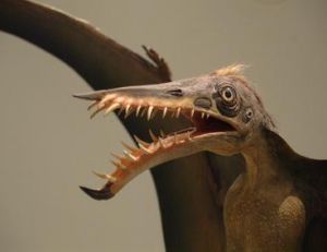 Le ptérodactyle et autres reptiles volants