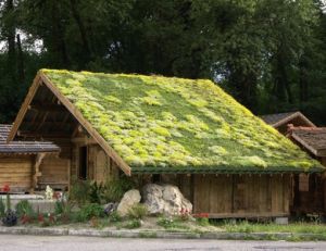 Rendre sa maison plus écologique