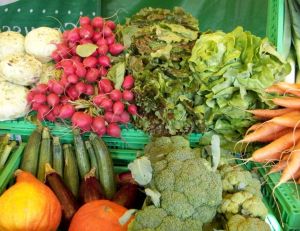 Comment réussir son potager