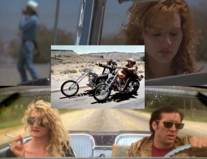 Les meilleurs road movies © The Samuel Goldwyn Company - Columbia Pictures - MGM