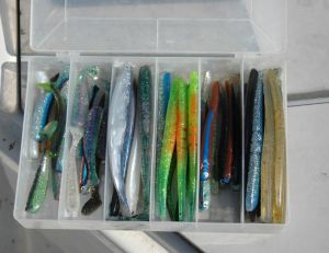 Beaucoup de slugs dans la boîte de ce pêcheur