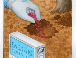 Fertiliser un arbre fruitier