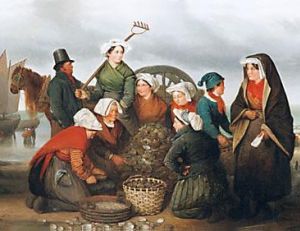 Où sont les huîtres d'antan ?