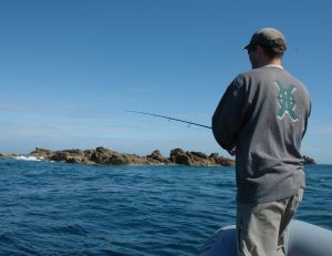 Comment choisir sa technique de pêche du bar ?