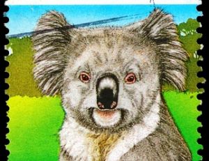 Timbre australien