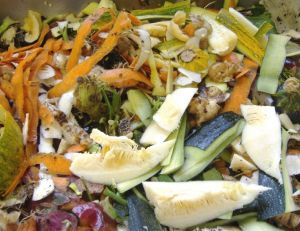 Les composants du compost