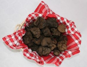 Tout sur les truffes
