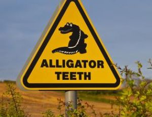 Une pancarte facilement visible sur les routes de Floride et de Louisiane