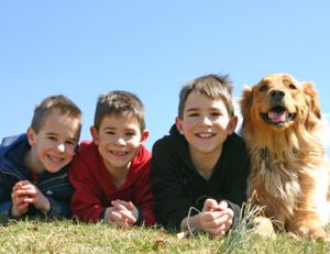 Vacances scolaires Corse 2012-2013