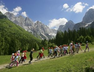 Les voyages organisés