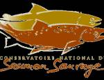 Conservatoire National du Saumon Sauvage