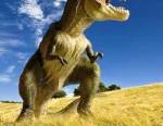 Tyrannosaure